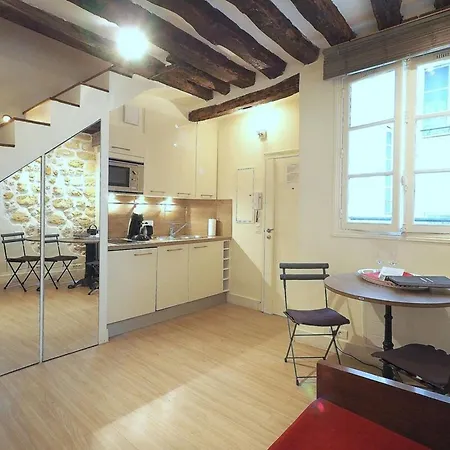 Louvre Parisian Duplex Appartement